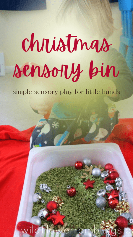 christmas sensory bin