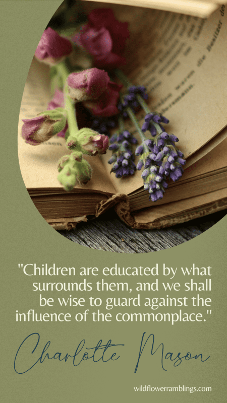 how to homeschool what is a living book