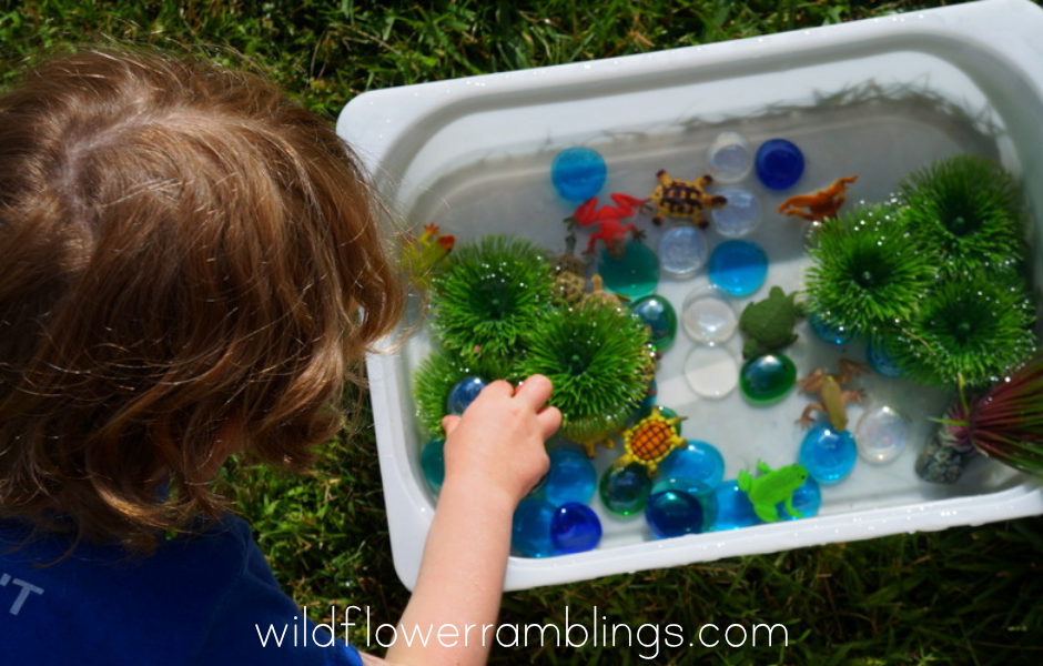 Turtle & Frog Sensory Bin